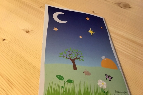 COLORLIFE: La Creazione - Cateshop