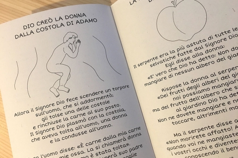 COLORLIFE: La Creazione - Cateshop